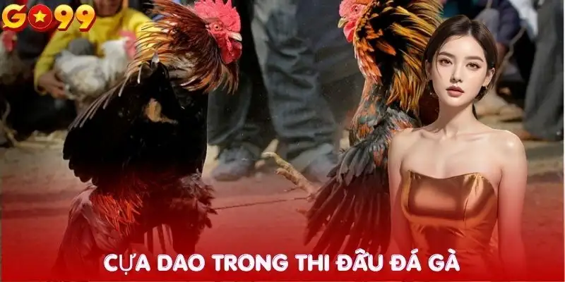 da-ga-go99-cua-dao