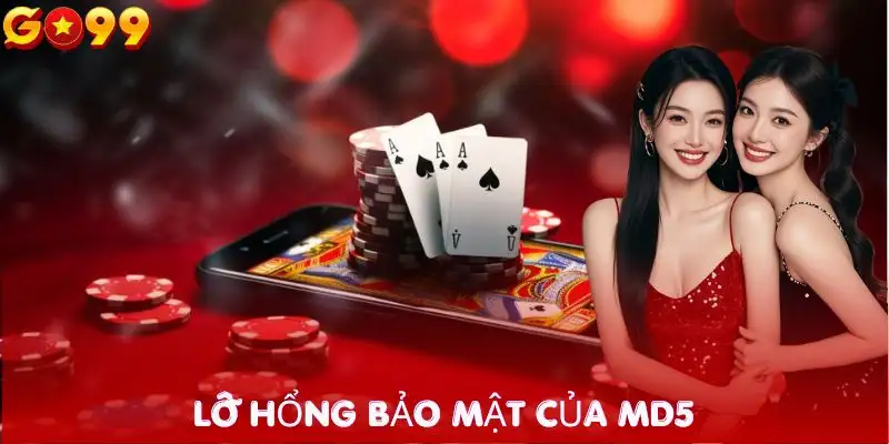 md5-co-du-doan-tai-xiu-duoc-khong-lo-hong-bao-mat