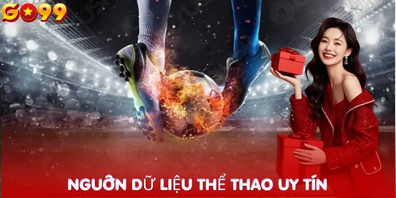 soi-cau-dua-tren-phong-do-cau-thu-nguon-du-lieu-uy-tin